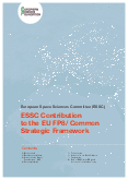 European Space Sciences Committee (ESSC) Contribution to the EU FP8/Common Strategic Framework